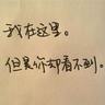 凤凰大视野